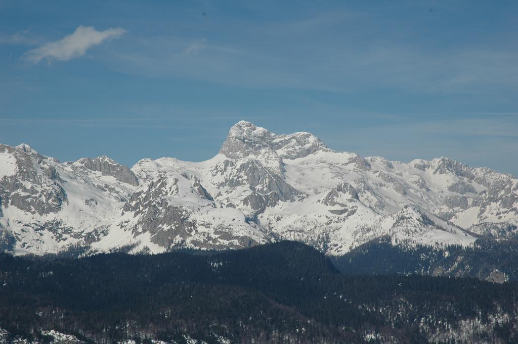 Apartment Dijak Bohinj Extérieur photo