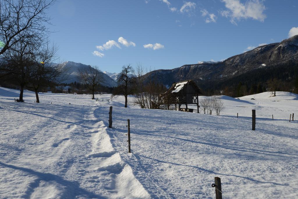 Apartment Dijak Bohinj Extérieur photo