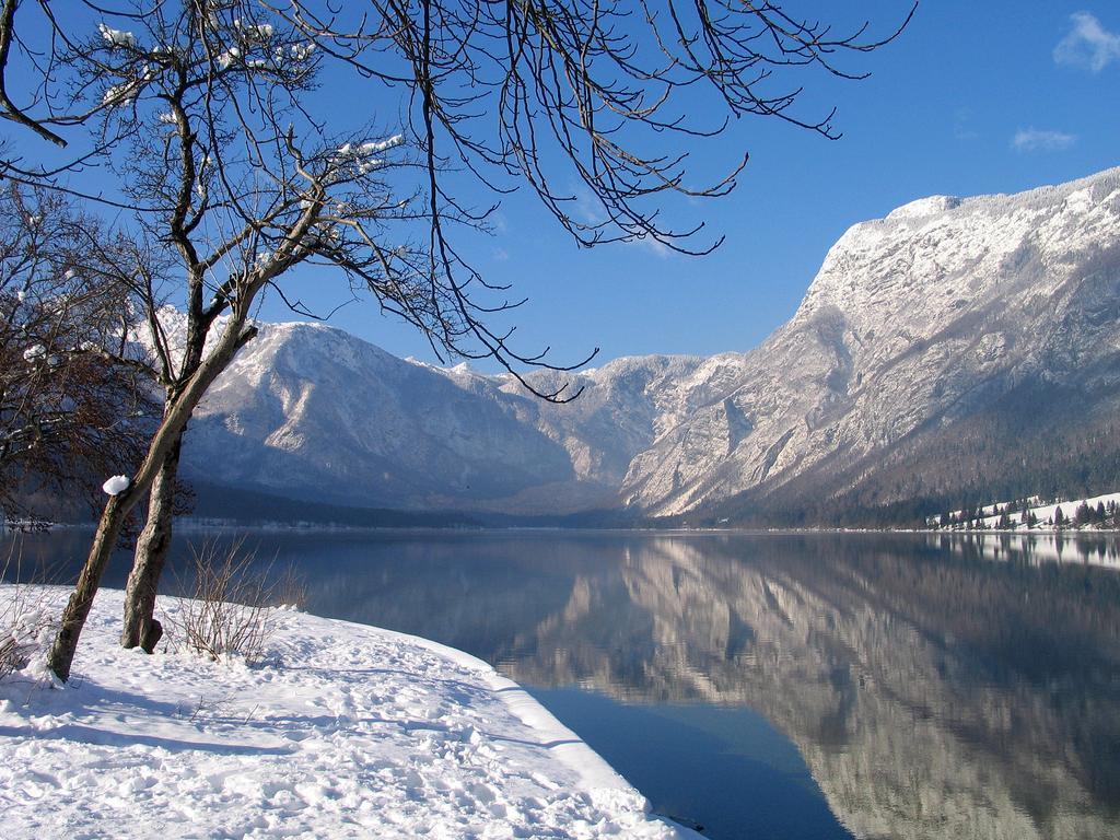 Apartment Dijak Bohinj Extérieur photo